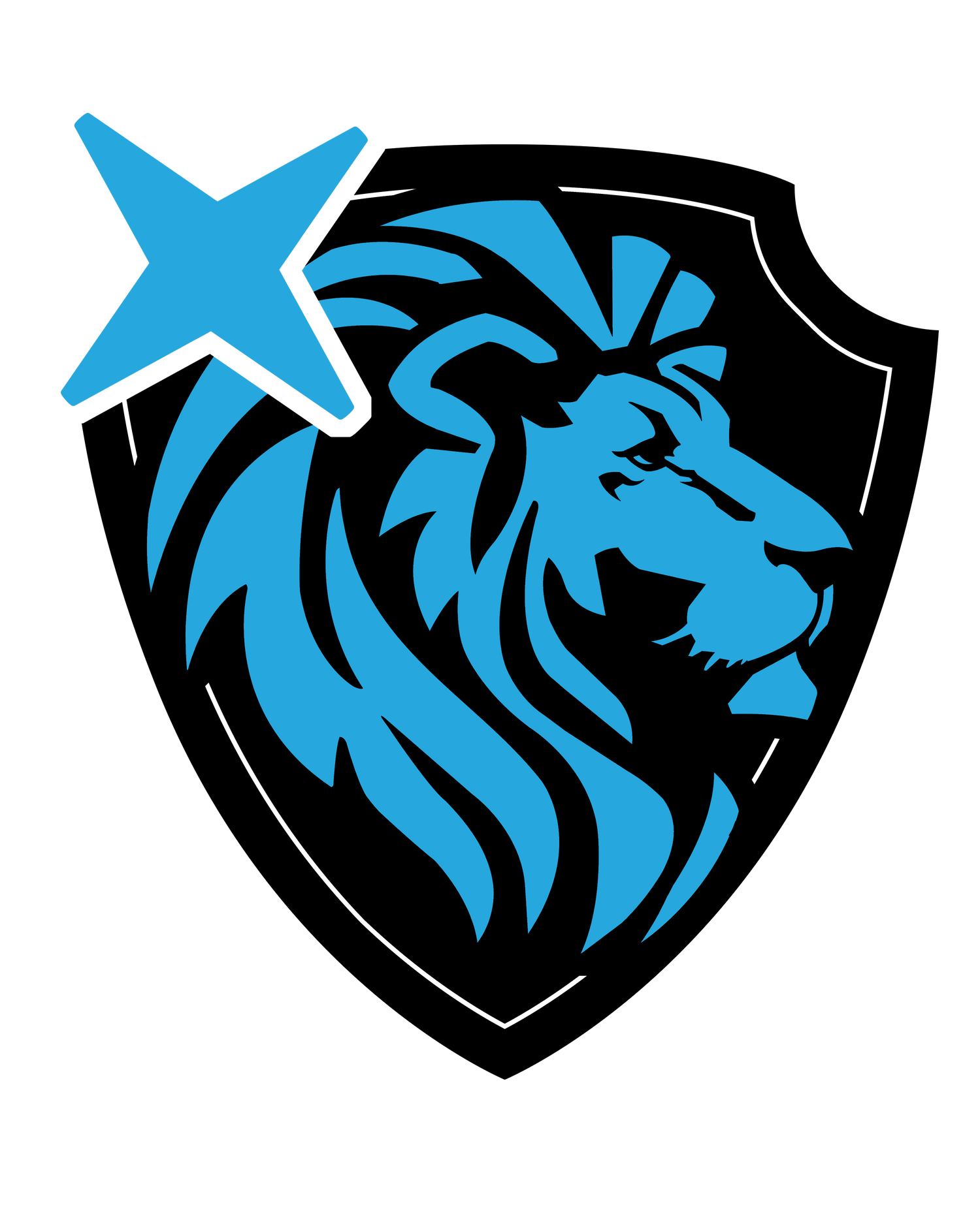 Clean Armor Products