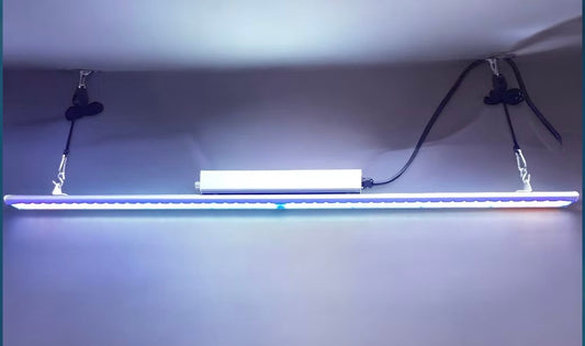 CUVO – UV Curing Light Model 100 UVA