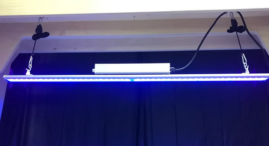 CUVO – UV Curing Light Model 100 UVA